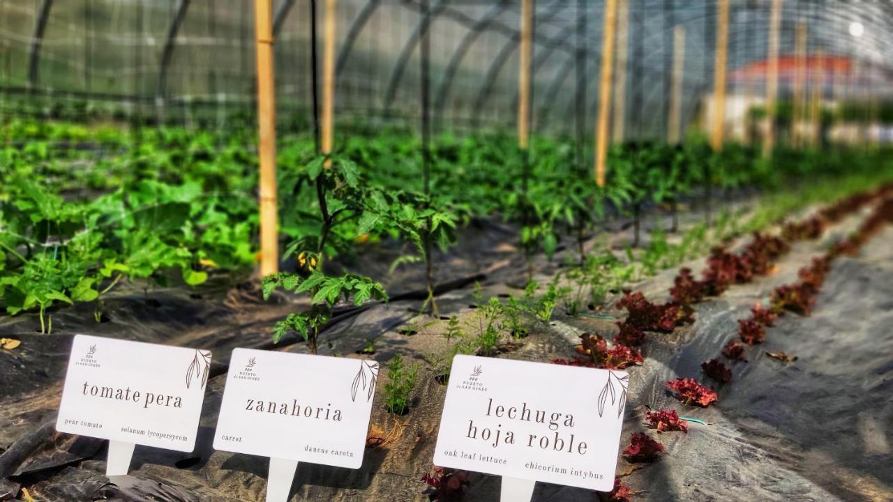 Augusta Eco Wellness Resort 4 Superior サンシェンショ エクステリア 写真